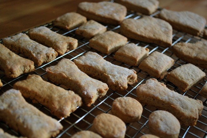 Peanut Butter Puppy Treats