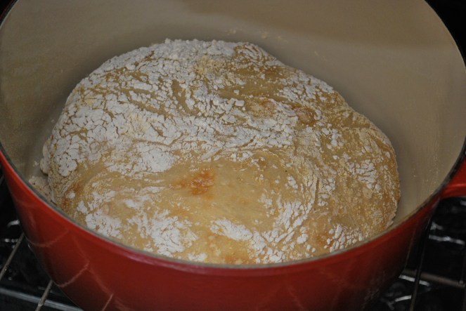 NY Times: No Knead Bread