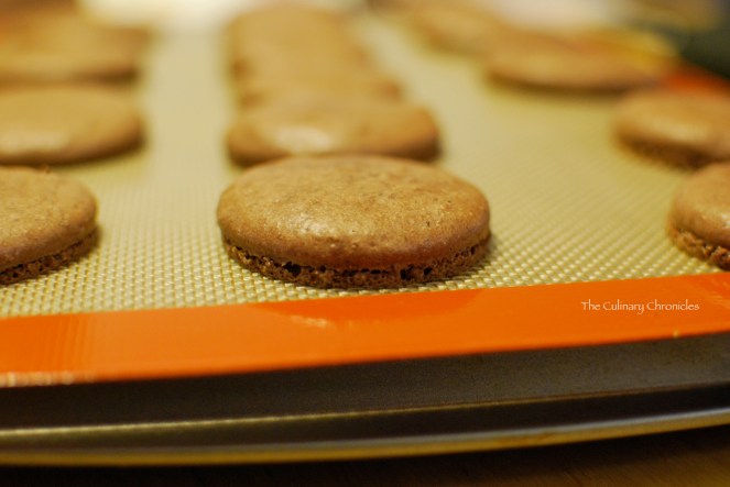 Chocolate Macarons